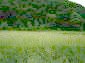 Lands for sale near Lovech