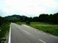 The road