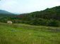 The property