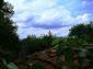 Lovely Bulgarian property