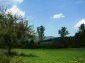 The property