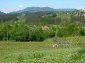 The plot of Bulgarian land