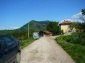 The road