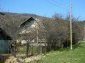 The house