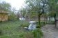 The garden