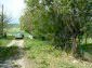 The road