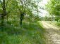 The road