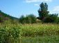 The property near Veliko Tarnovo