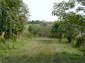 The property