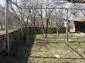 The garden
