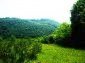 Houses for sale near Veliko Tarnovo