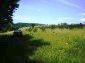 The property