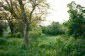 The property