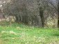 A plot of land