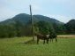 A plot of land near Veliko Tarnovo