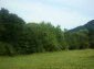 A plot of land near Veliko Tarnovo