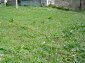 The property