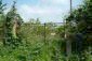 The property