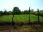 Houses for sale near Pleven