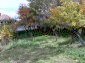 garden and surroundigs of the house