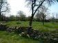 garden and surroundings of the house