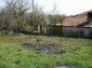 garden and surroundings of the house