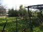 garden and surroundings of the property