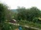 garden and surroundings of the property