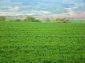 Lands for sale near Gabrovo
