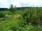 Lands for sale near Gabrovo