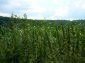 land for sale reveals mountainous view