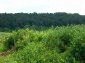 land for sale reveals mountainous view