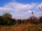 The land