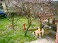 garden and surroundings of the property