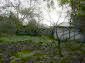 garden and surroundings of the property