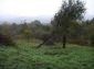 The property near Lovech