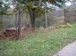 The property near Lovech