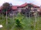 The property