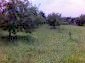 The property