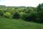 A view