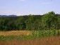 Lands for sale near Lovech