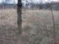 The property of land