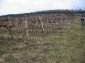 Lands for sale near Varna