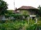 The house and the garden