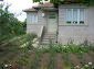 The garden