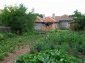 The garden