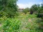 the garden