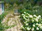 the garden with flowers