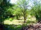 Lands for sale near Pleven