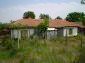 The yard with the trellis-vine